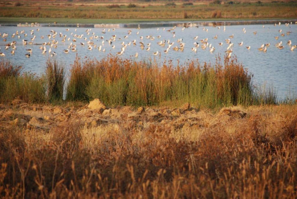 Salgados - Vila Das Lagoas Guia  Eksteriør bilde